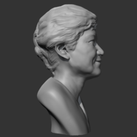 Park Geun-hye 3D print model - Thumbnail 9