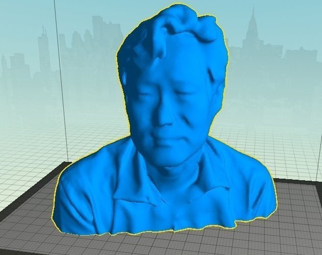 Person 3D Print 46983