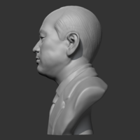 Chun Doo-hwan 3D print model - Thumbnail 4