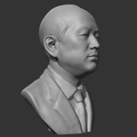 Chun Doo-hwan 3D print model - Thumbnail 7
