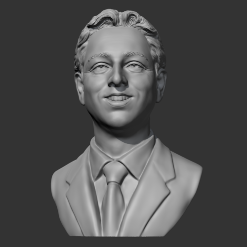Sergey Brin 3D print model 3D Print 470251