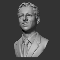 Sergey Brin 3D print model - Thumbnail 4