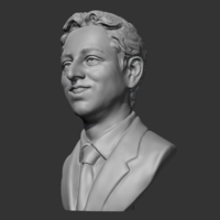 Sergey Brin 3D print model - Thumbnail 5