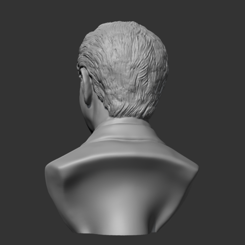 Sergey Brin 3D print model 3D Print 470256