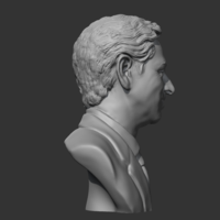 Sergey Brin 3D print model - Thumbnail 9