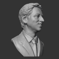 Sergey Brin 3D print model - Thumbnail 10