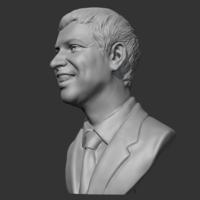 Larry Page 3D print model - Thumbnail 3