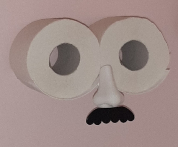 Toilet Roll Face Holder Storage 3D Print 471094