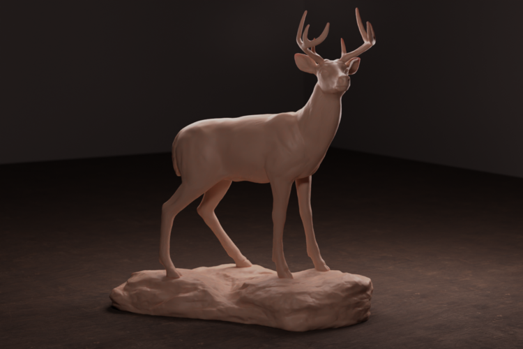 Whitetail Deer 3D Print 472293