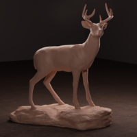 Whitetail Deer - Thumbnail 1