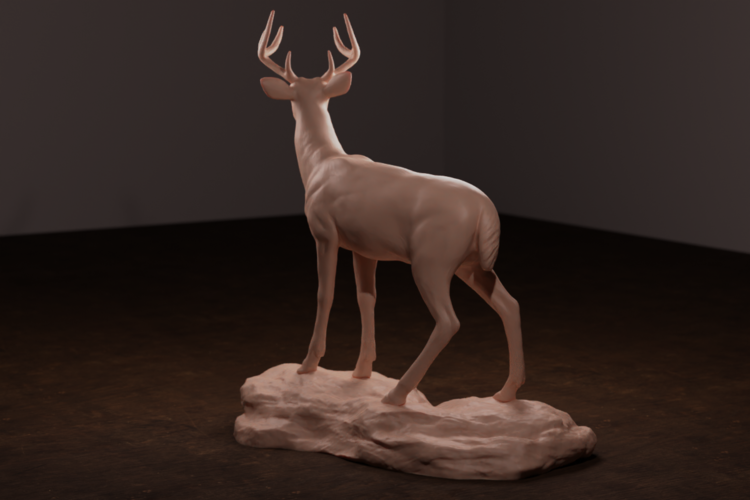 Whitetail Deer 3D Print 472294