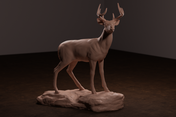 Whitetail Deer 3D Print 472295