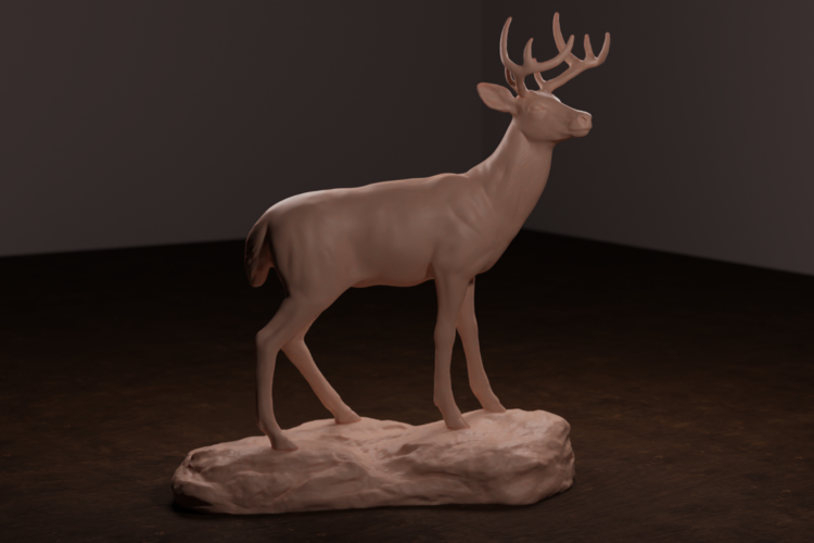 Whitetail Deer 3D Print 472296