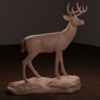 Whitetail Deer - Thumbnail 4