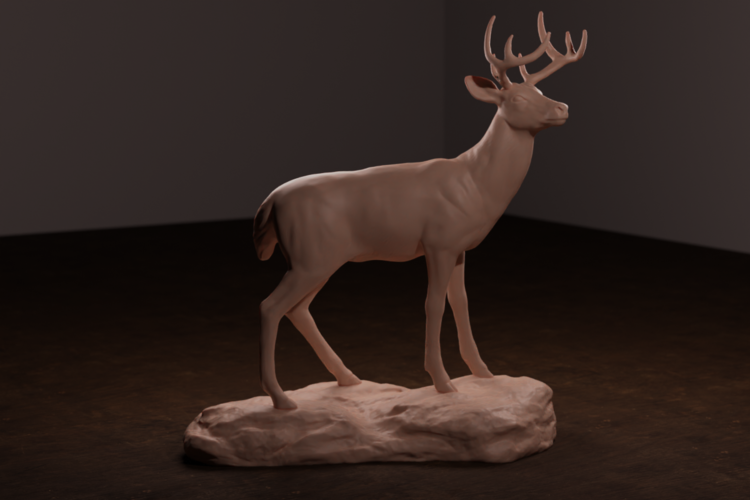 Whitetail Deer 3D Print 472297