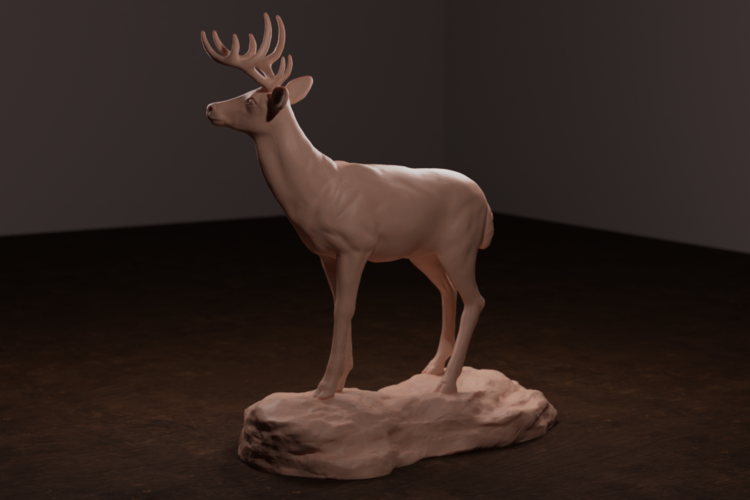 Whitetail Deer 3D Print 472298