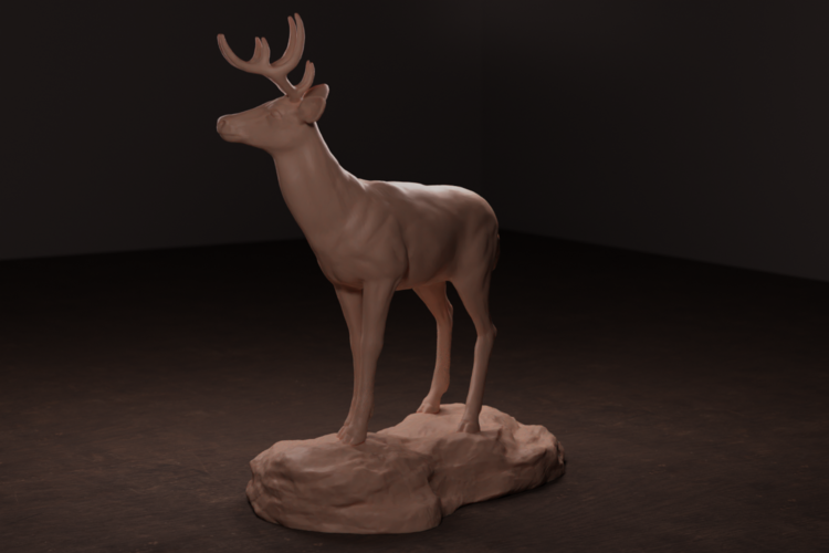 Whitetail Deer 3D Print 472299
