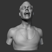 Freddie Mercury 3D print model - Thumbnail 1