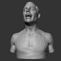 Freddie Mercury 3D print model - Thumbnail 3