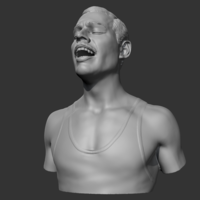 Freddie Mercury 3D print model - Thumbnail 4