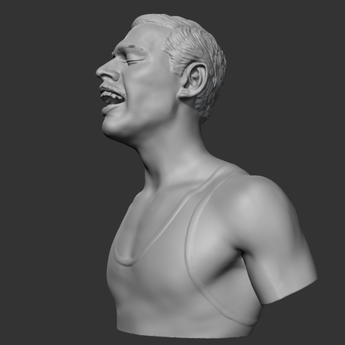 Freddie Mercury 3D print model 3D Print 472376