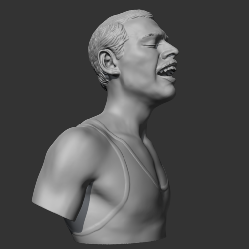 Freddie Mercury 3D print model 3D Print 472378