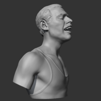Freddie Mercury 3D print model - Thumbnail 8