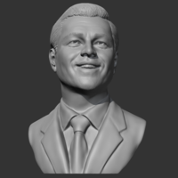 Small Leonardo Dicaprio 3D print model 3D Printing 472472