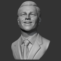 Leonardo Dicaprio 3D print model - Thumbnail 2