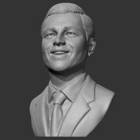 Leonardo Dicaprio 3D print model - Thumbnail 3
