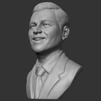 Leonardo Dicaprio 3D print model - Thumbnail 4
