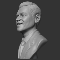 Leonardo Dicaprio 3D print model - Thumbnail 5