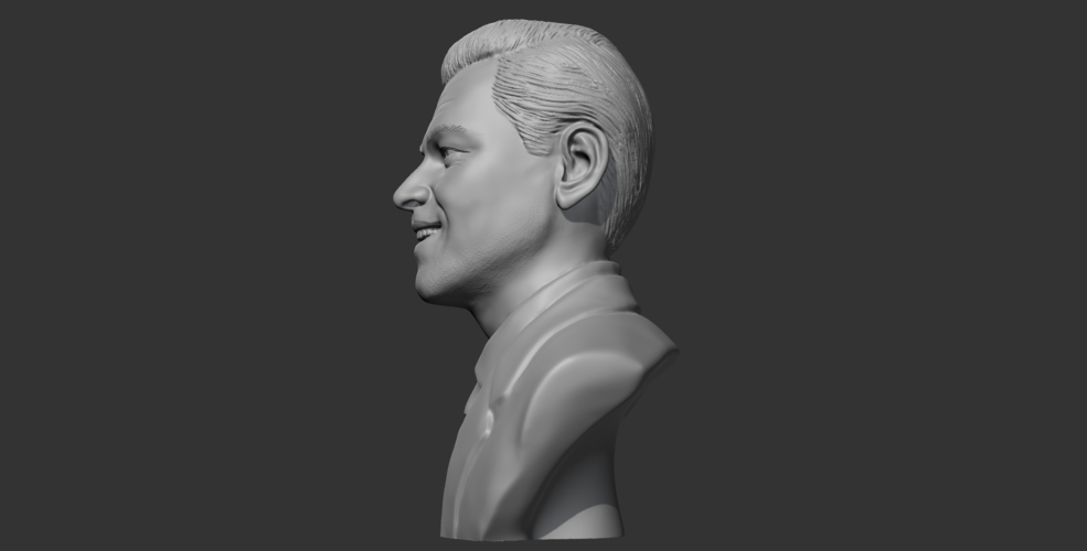 Leonardo Dicaprio 3D print model 3D Print 472477