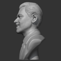 Leonardo Dicaprio 3D print model - Thumbnail 6