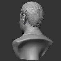 Leonardo Dicaprio 3D print model - Thumbnail 7