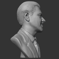 Leonardo Dicaprio 3D print model - Thumbnail 8