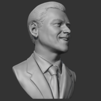 Leonardo Dicaprio 3D print model - Thumbnail 9