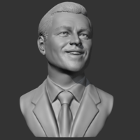 Leonardo Dicaprio 3D print model - Thumbnail 10