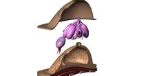 Image 472803