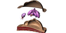 Image 472804