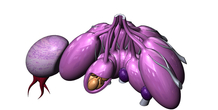Image 472806
