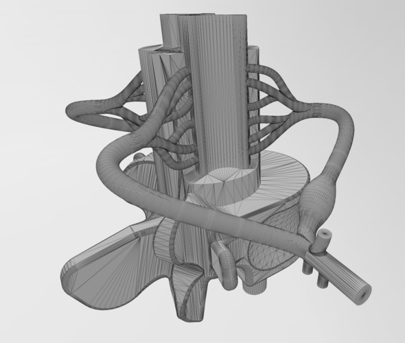 Simplified spinal cord cross section 3D print model 3D Print 472826