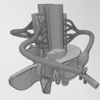 Simplified spinal cord cross section 3D print model - Thumbnail 7