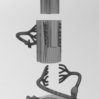 Simplified spinal cord cross section 3D print model - Thumbnail 8