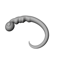 Morphogenesis of an embryos nervous system 3D print model - Thumbnail 3