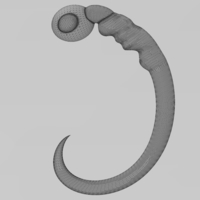 Morphogenesis of an embryos nervous system 3D print model - Thumbnail 7