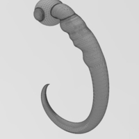 Morphogenesis of an embryos nervous system 3D print model - Thumbnail 8