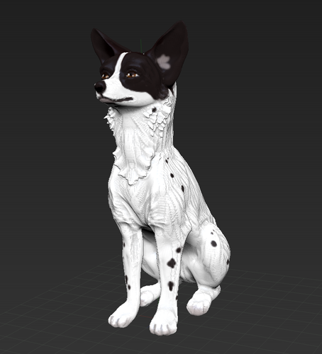 Basenji dog sitting 3D Print 472968