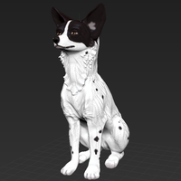 Small Basenji dog sitting 3D Printing 472968