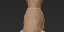 Image 472970